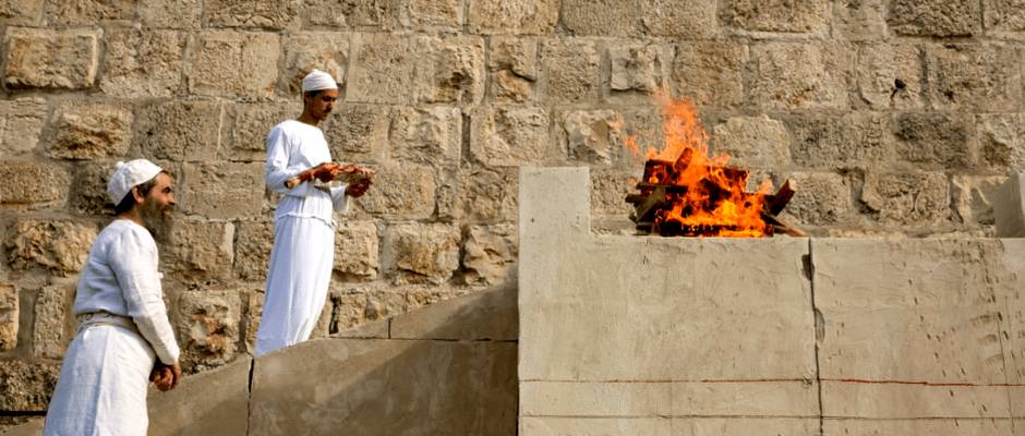 Reinician sacrificios siguiendo la Torá en un altar en Jerusalén