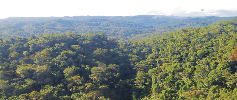 Alcanzando las selvas de Honduras con las Escrituras