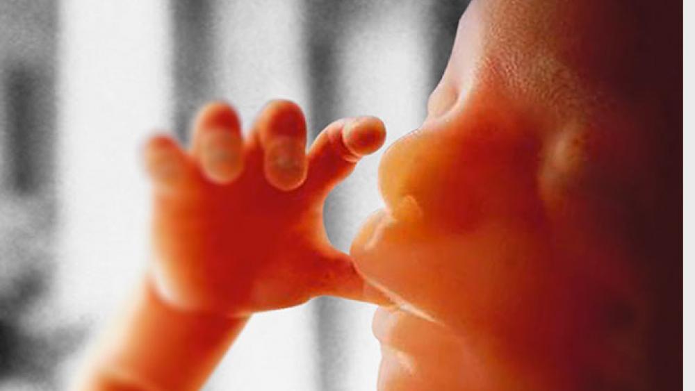 Proyecto de ley en Massachusetts daría a médicos decisión de “nacimiento o muerte”