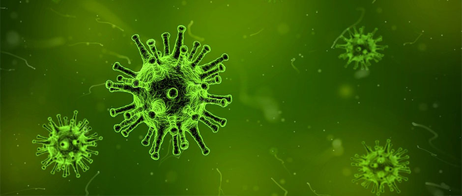 El coronavirus se transmite a través del aire / Pixabay,Virus