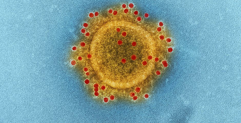 CDC, Unsplash,coronavirus