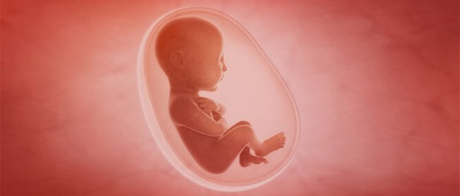 Texas detendrá abortos en medio de la respuesta al coronavirus