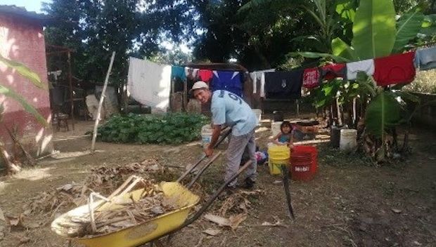 Huertos familiares para sembrar alimentos y esperanza en Venezuela