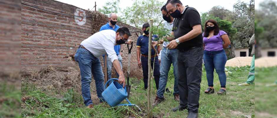 Argentina│Iglesia planta 100 árboles en el predio de su propiedad