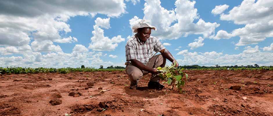 Metodistas africanos se convierten en granjeros