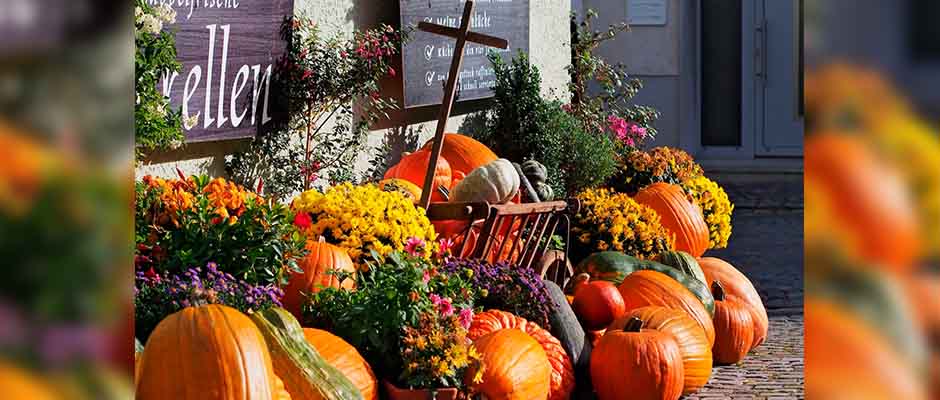 Pastores influyen en la actitud de feligreses hacia Halloween
