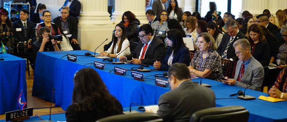 La OEA escucha las voces a favor de la vida, la familia y las libertades