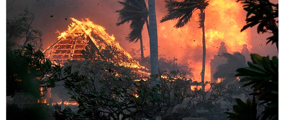 Mueren 55 personas por “apocalípticos” incendios forestales en Hawaii